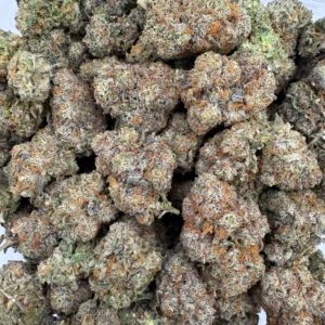 Black Truffle
