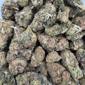 Blue Dream Greenhouse