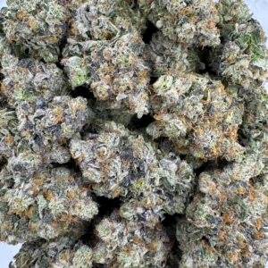 Chapo’s Gas