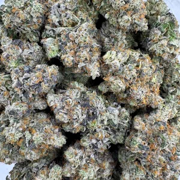 Chapo’s Gas