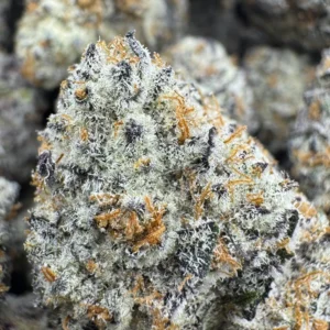 Glacier Glue