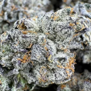 Grand Daddy Purple