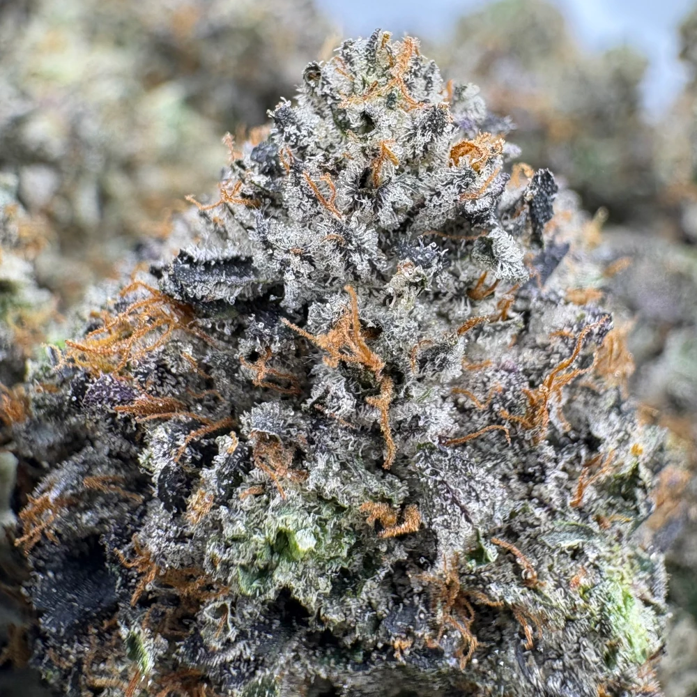 LSO Godfather OG