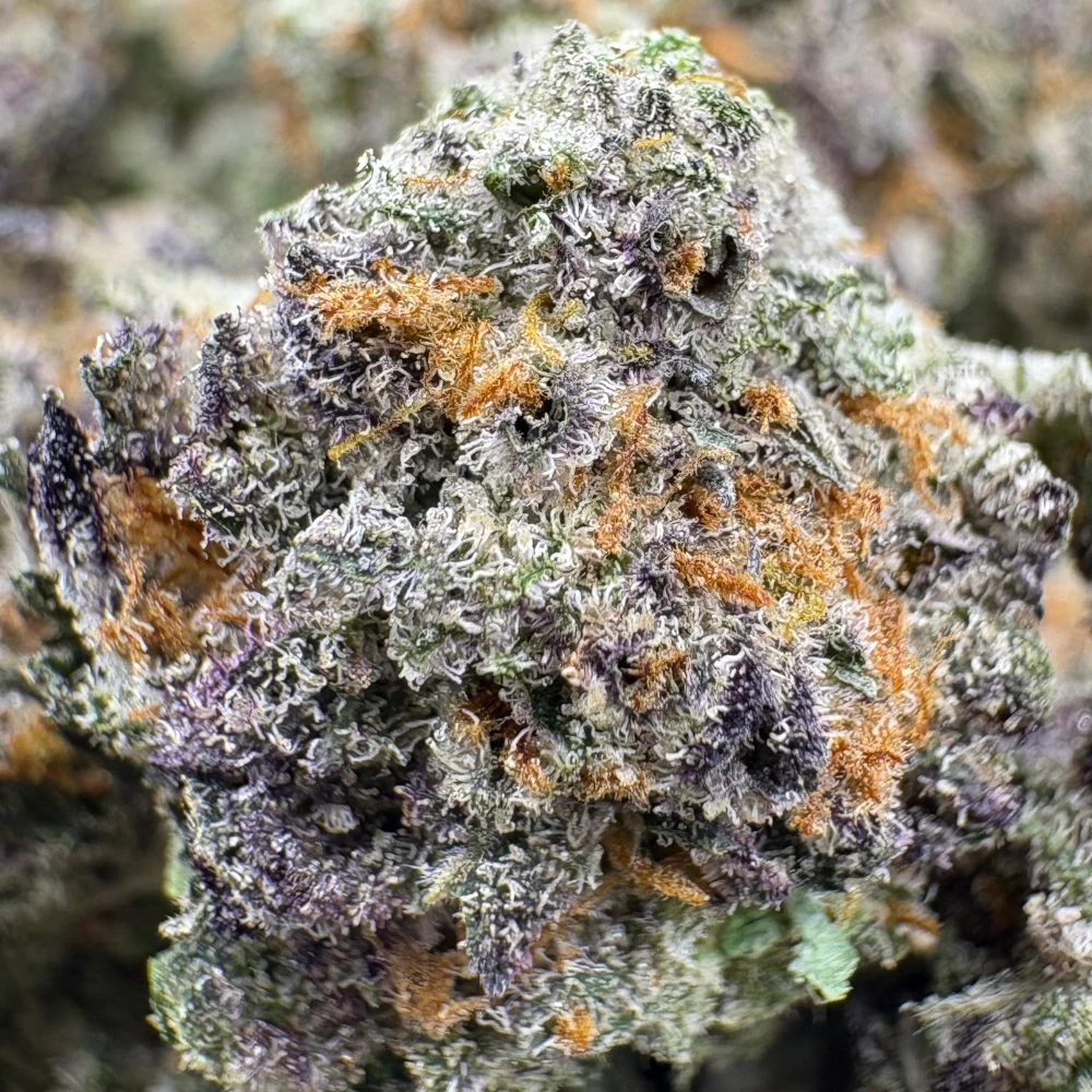 Peanut Butter Breath Popcorn *BULK*