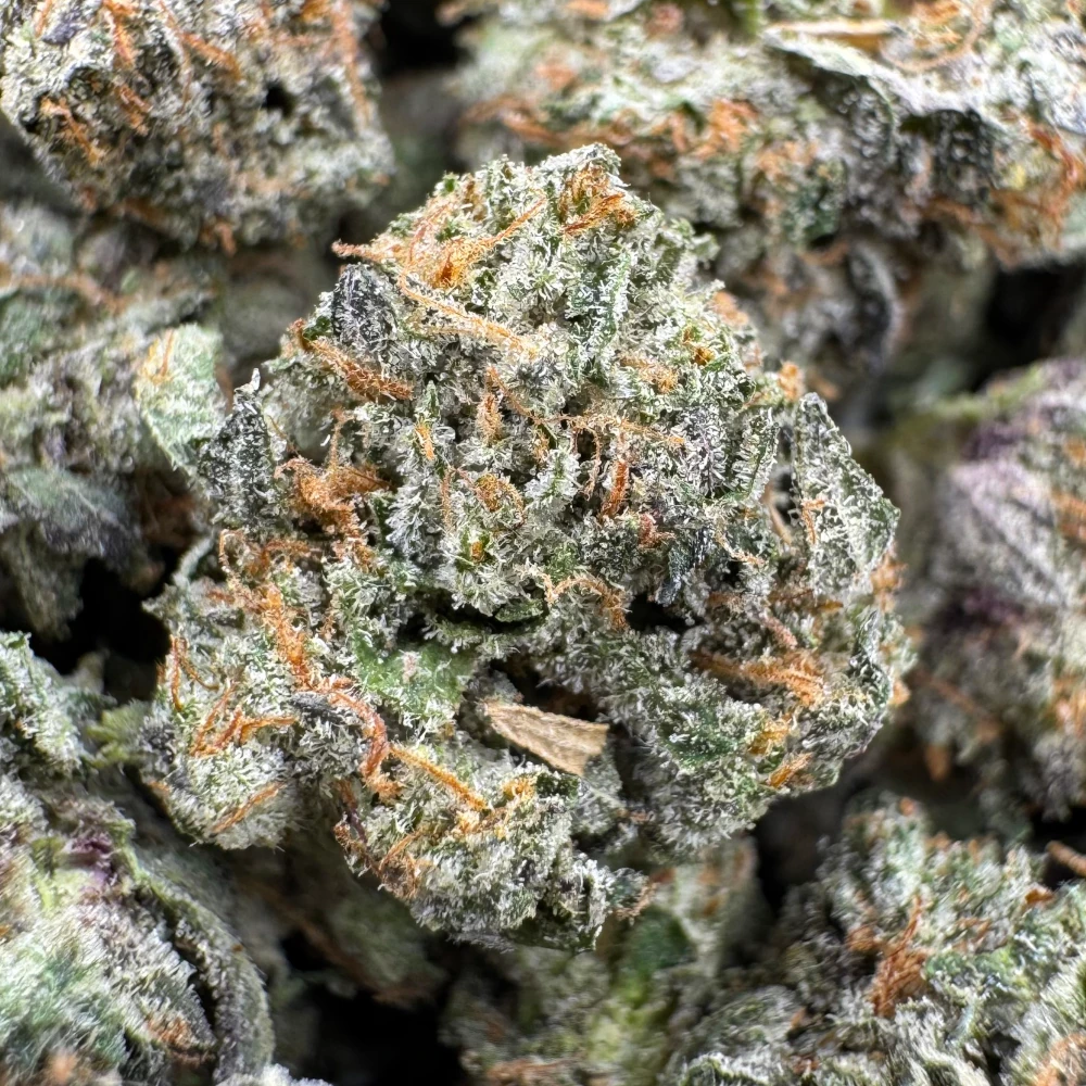 Pink Rockstar Popcorn