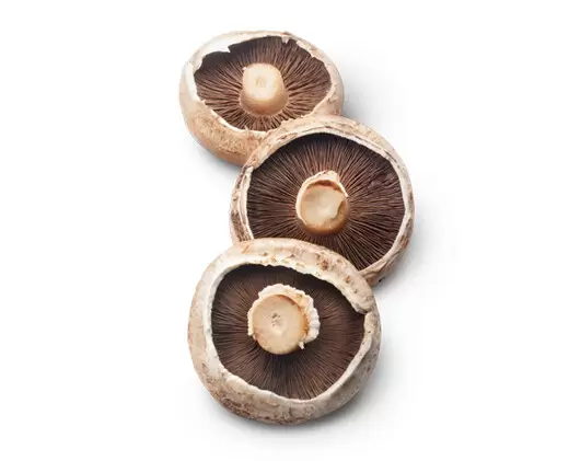 Portobello Mushroom (Agaricus bisporus)