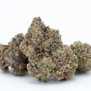 Jack Herer